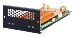 PulM-M2-2S
