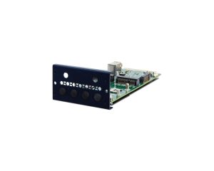 PulM-2P1M